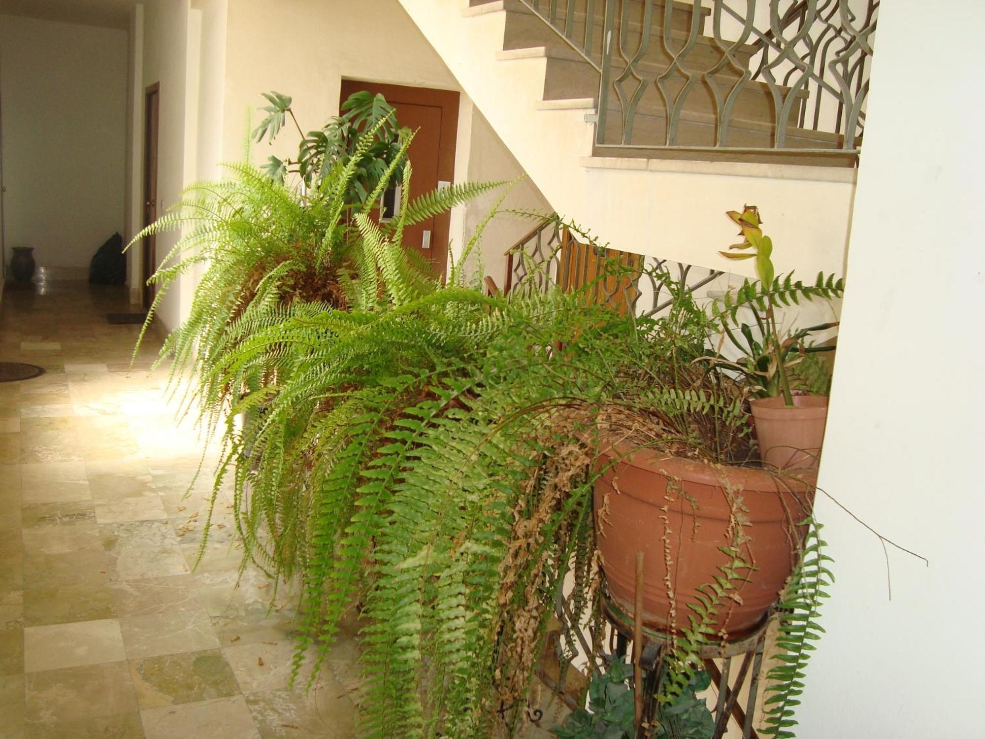 Antonio'S House Bed and Breakfast Agrigento Buitenkant foto